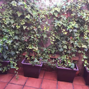 Apartamento Bonito Piso Centro De Boliches